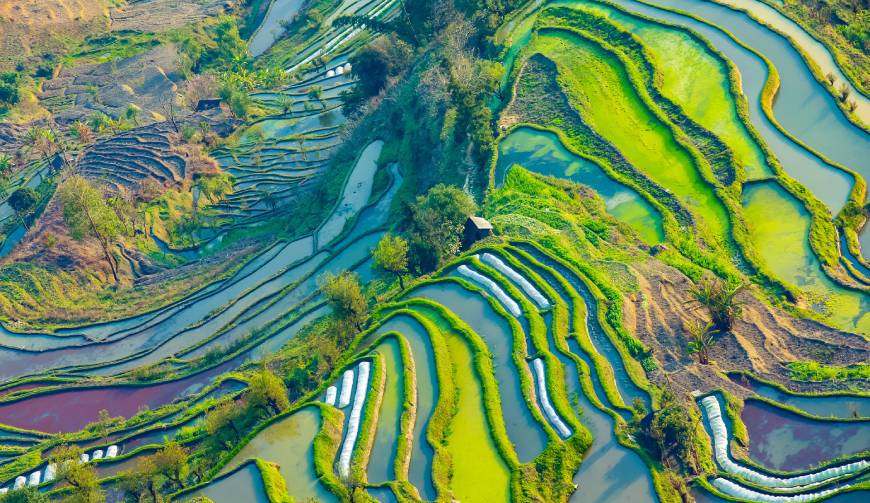 走进屏边TVC拍摄：解锁本地化场景与创意镜头的完美融合